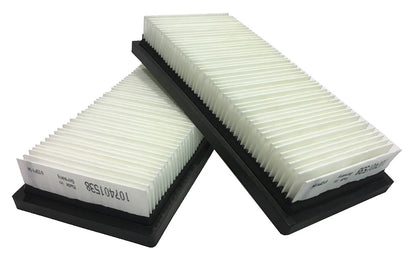 Nilfisk Alto Attix 30/40/50 XC Flat Filter Set (302002842)