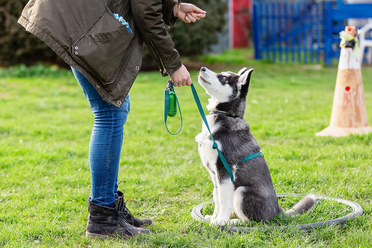 Bonnie Bio 2-2.5L Dog Poop Bag Dispenser (BB-DOG-DISP)