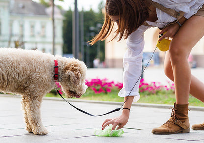 Bonnie Bio 2L Compostable Dog Poop Bags - Roll of 225 (BB-DOG)