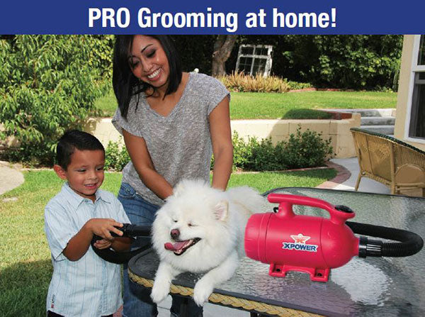 XPOWER B-55 1000 Watt 2-in-1 Home Pet Dryer and Vacuum - grooming at home - Vacuum Spot