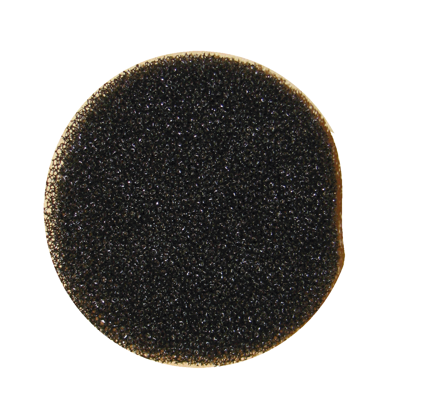 Cleanstar Pre-Motor Filter For Ghibli T1 Backpack