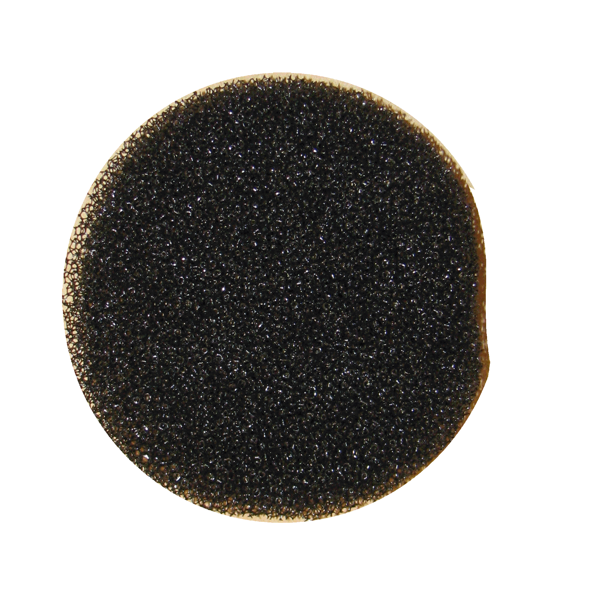 Cleanstar Pre-Motor Filter For Ghibli T1 Backpack